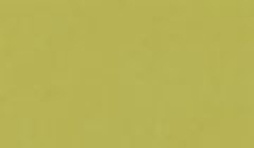 КАТАЛОГ ЦВЕТОВ RAL - ral-1000.2.jpg