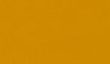 КАТАЛОГ ЦВЕТОВ RAL - ral-1007.jpg