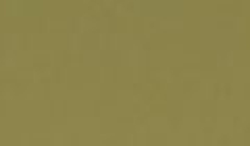 КАТАЛОГ ЦВЕТОВ RAL - ral-1019.jpg