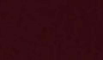 КАТАЛОГ ЦВЕТОВ RAL - ral-3005.jpg