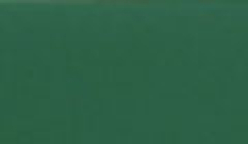 КАТАЛОГ ЦВЕТОВ RAL - ral-6000.jpg