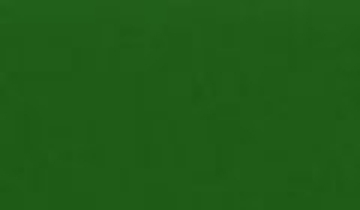 КАТАЛОГ ЦВЕТОВ RAL - ral-6001.jpg