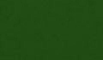 КАТАЛОГ ЦВЕТОВ RAL - ral-6002.jpg