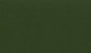 КАТАЛОГ ЦВЕТОВ RAL - ral-6003.jpg