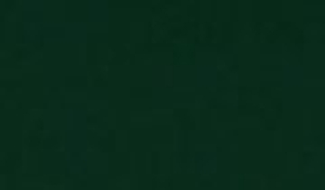 КАТАЛОГ ЦВЕТОВ RAL - ral-6005.jpg