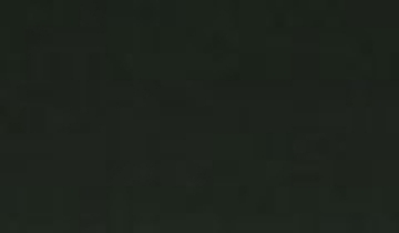 КАТАЛОГ ЦВЕТОВ RAL - ral-6006.jpg