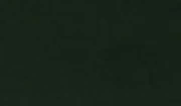 КАТАЛОГ ЦВЕТОВ RAL - ral-6007.jpg