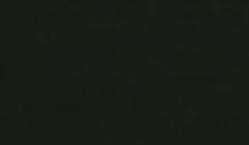 КАТАЛОГ ЦВЕТОВ RAL - ral-6008.jpg