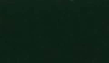 КАТАЛОГ ЦВЕТОВ RAL - ral-6009.jpg