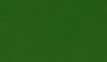 КАТАЛОГ ЦВЕТОВ RAL - ral-6010.jpg