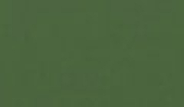 КАТАЛОГ ЦВЕТОВ RAL - ral-6011.jpg