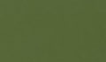 КАТАЛОГ ЦВЕТОВ RAL - ral-6013.jpg