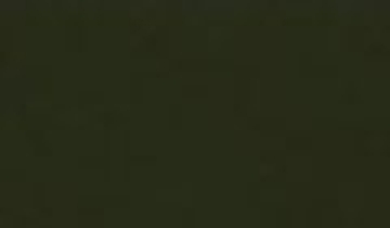 КАТАЛОГ ЦВЕТОВ RAL - ral-6014.jpg