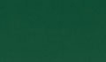 КАТАЛОГ ЦВЕТОВ RAL - ral-6016.jpg