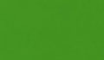 КАТАЛОГ ЦВЕТОВ RAL - ral-6018.jpg