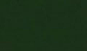 КАТАЛОГ ЦВЕТОВ RAL - ral-6020.jpg