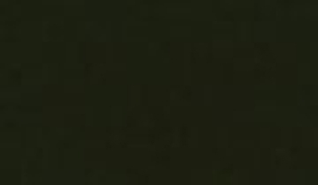 КАТАЛОГ ЦВЕТОВ RAL - ral-6022.jpg