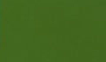 КАТАЛОГ ЦВЕТОВ RAL - ral-6025.jpg