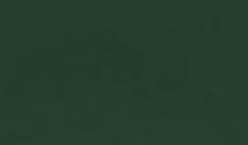 КАТАЛОГ ЦВЕТОВ RAL - ral-6028.jpg