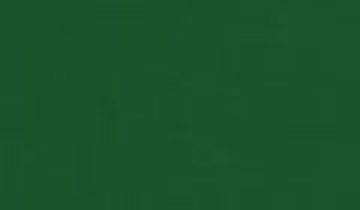 КАТАЛОГ ЦВЕТОВ RAL - ral-6029.jpg