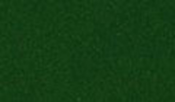 КАТАЛОГ ЦВЕТОВ RAL - ral-6035.jpg