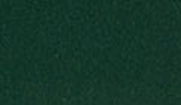 КАТАЛОГ ЦВЕТОВ RAL - ral-6036.jpg