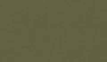 КАТАЛОГ ЦВЕТОВ RAL - ral-7002.jpg