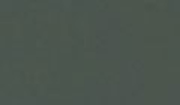 КАТАЛОГ ЦВЕТОВ RAL - ral-7005.jpg