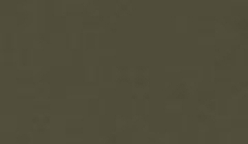 КАТАЛОГ ЦВЕТОВ RAL - ral-7006.jpg