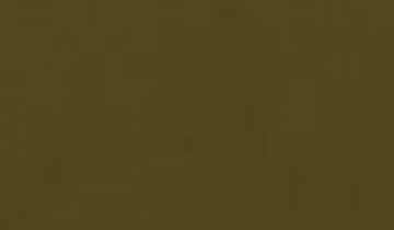 КАТАЛОГ ЦВЕТОВ RAL - ral-7008.jpg