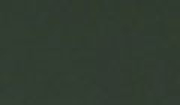 КАТАЛОГ ЦВЕТОВ RAL - ral-7009.jpg