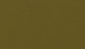 КАТАЛОГ ЦВЕТОВ RAL - ral-8000.jpg