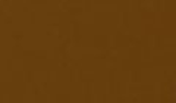 КАТАЛОГ ЦВЕТОВ RAL - ral-8003.jpg