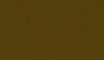 КАТАЛОГ ЦВЕТОВ RAL - ral-8008.jpg