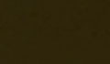 КАТАЛОГ ЦВЕТОВ RAL - ral-8014.jpg