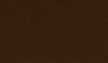 КАТАЛОГ ЦВЕТОВ RAL - ral-8016.jpg