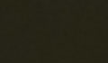 КАТАЛОГ ЦВЕТОВ RAL - ral-8019.jpg