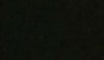 КАТАЛОГ ЦВЕТОВ RAL - ral-8022.jpg