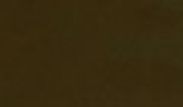 КАТАЛОГ ЦВЕТОВ RAL - ral-8028.jpg