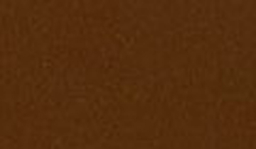 КАТАЛОГ ЦВЕТОВ RAL - ral-8029.jpg