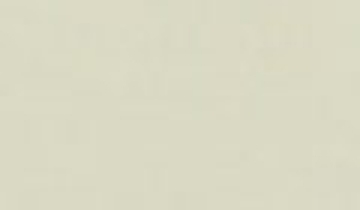 КАТАЛОГ ЦВЕТОВ RAL - ral-9002.jpg