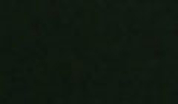 КАТАЛОГ ЦВЕТОВ RAL - ral-9004.jpg