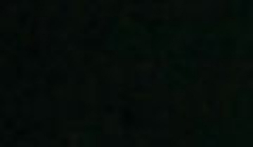 КАТАЛОГ ЦВЕТОВ RAL - ral-9005.jpg