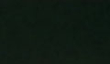 КАТАЛОГ ЦВЕТОВ RAL - ral-9011.jpg