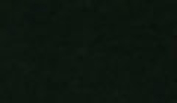 КАТАЛОГ ЦВЕТОВ RAL - ral-9017.jpg